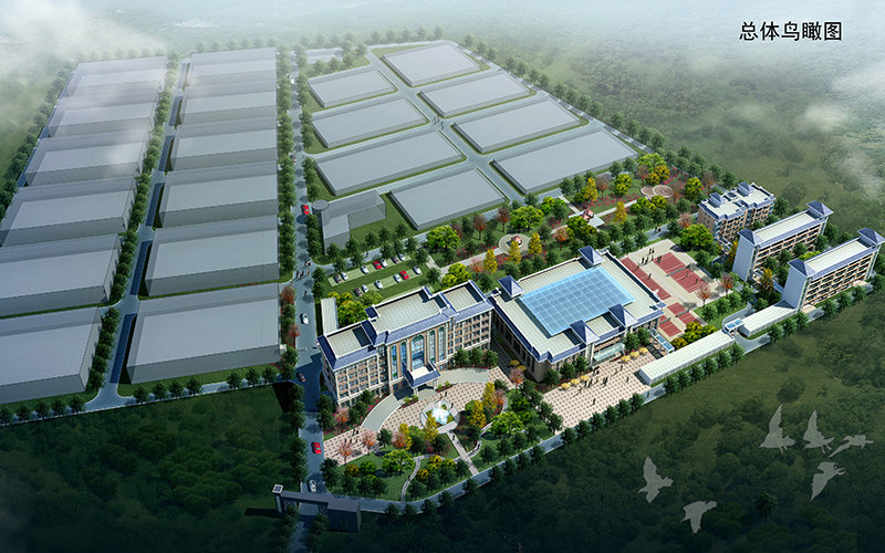 市政道路工程監理工作舉措，都可以從哪些層面分析
